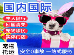 果洛玛沁空运公司国际宠物托运 【国